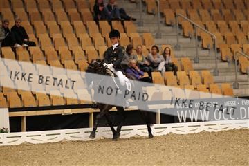 126407_abo_01_IMG_1072.JPG
