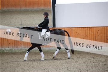 175681_avh_01_R62_0790.JPG