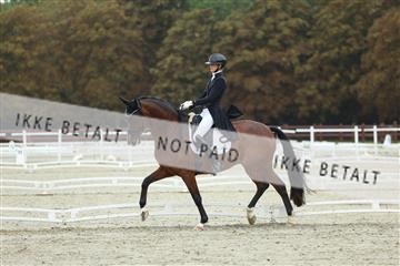 181923_mtp_03_R62_7792.JPG