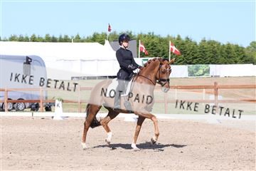 181449_bc_01R62_6026.JPG