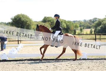 181894_mtp_02_R62_1791.JPG
