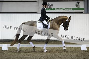 141472_abo_01__AB15842.JPG