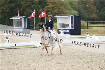 181894_mtp_02_R62_1651.JPG