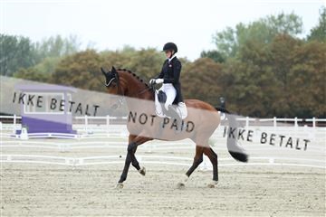 181923_mtp_03_R62_7705.JPG