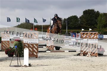 181922_avh_01_1067.JPG