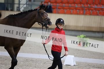 175139_bc_03_R62_4236.JPG