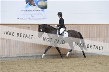 160111_nn_01__ESK1486.JPG