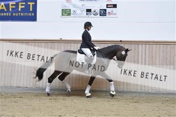 160111_nn_01__ESK1973.JPG