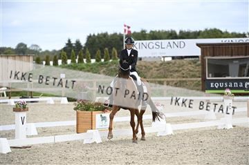 181855_kbb_01_Z095829.JPG