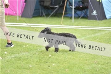 163793_bkn_01__BKN6633.JPG