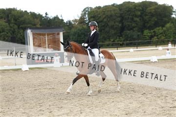181894_mtp_03_R62_2906.JPG