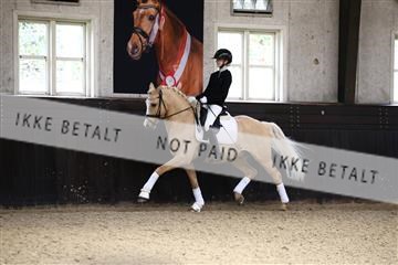 181243_avh_01_1940 (1).JPG