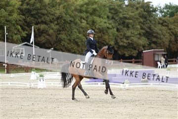 181923_mtp_03_R62_7272.JPG