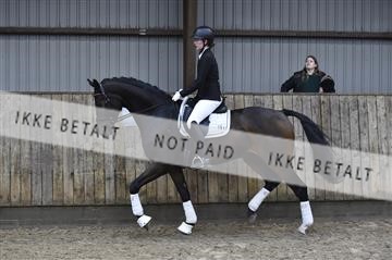 173181_kbb_01__D4S6156.JPG
