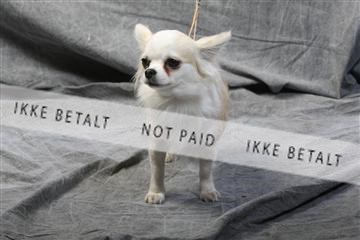 129608_le_ 01_0579.JPG