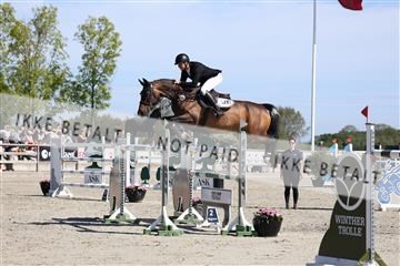 181436_avh_02_3739.JPG