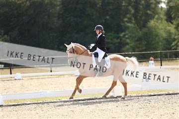 181894_mtp_02_R62_1927.JPG