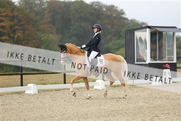 181894_mtp_04_R62_3548.JPG