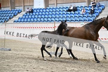 181754_kbb_01_Z093437.JPG