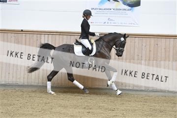 160111_nn_01__ESK1423.JPG