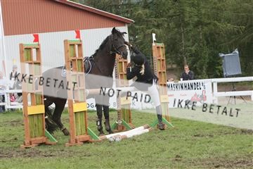 5925_ma_05_IMG_0719.JPG