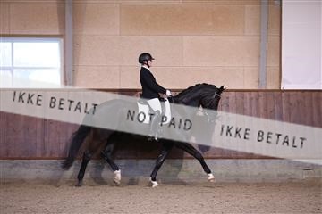 173821_mtp_01_3M5A8451.JPG