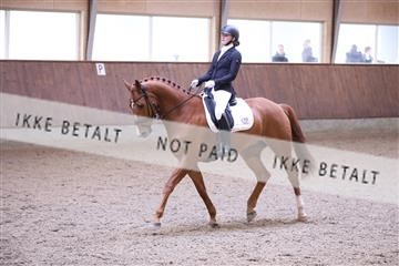 173821_mtp_01_3M5A9224.JPG