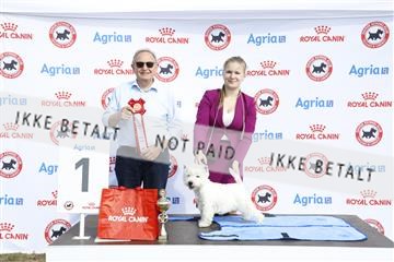 181848_kar_01__62_2122.JPG