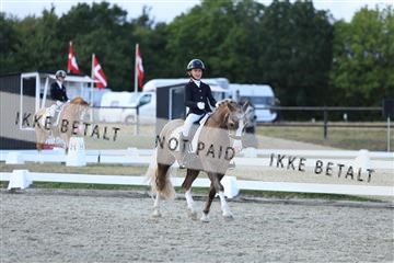 181894_mtp_05_R62_5141.JPG