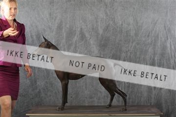 129608_le_ 01_0261.JPG