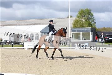 179330_avh_01_5168.JPG