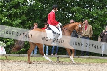 135518_ms_01_IMG_1444.JPG