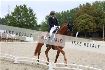 181923_mtp_01_R62_6172.JPG