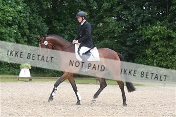 135518_ms_01_IMG_1306.JPG