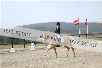 181894_mtp_04_R62_4009.JPG