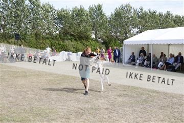 181848_kar_01__62_3809.JPG