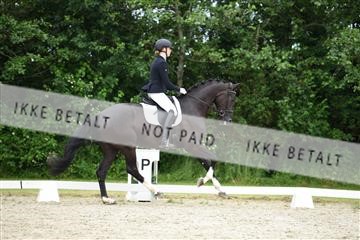 162958_mep_01_DSC_6555.JPG