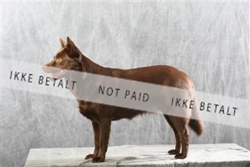 129608_le_ 01_0927.JPG