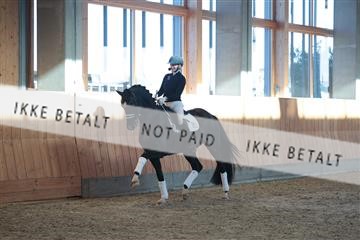 179103_kbb_01_R6II3779.JPG