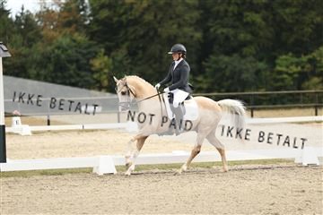 181894_mtp_03_R62_2728.JPG