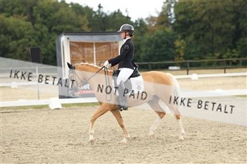 181894_mtp_03_R62_2519.JPG