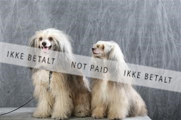 129608_le_ 01_0604.JPG