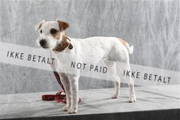 129608_le_ 02_0035.JPG