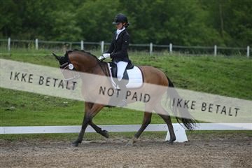 147698_nn_01_IMG_8782.JPG
