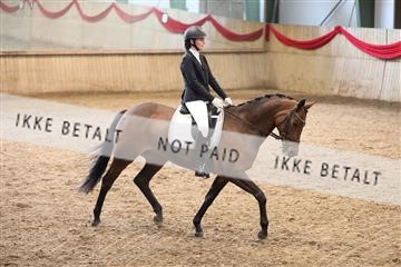 171342_mtp_01_3M5A7456.JPG