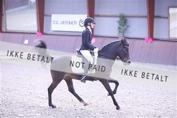 173883_mtp_01_3M5A0369.JPG