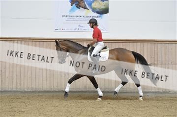 160111_nn_01__ESK1669.JPG