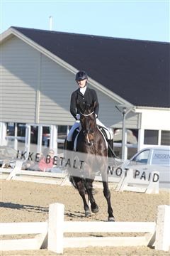 148862_sg_01_IMG_2477.JPG