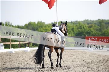 181449_kbb_02_6II1345.JPG