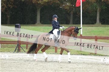 181923_mtp_04_R62_8957.JPG